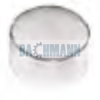 [125519] Caliper Steel Cap Ø 44/17 mm