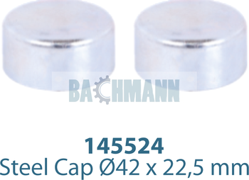 [144088] Caliper Cap Kit